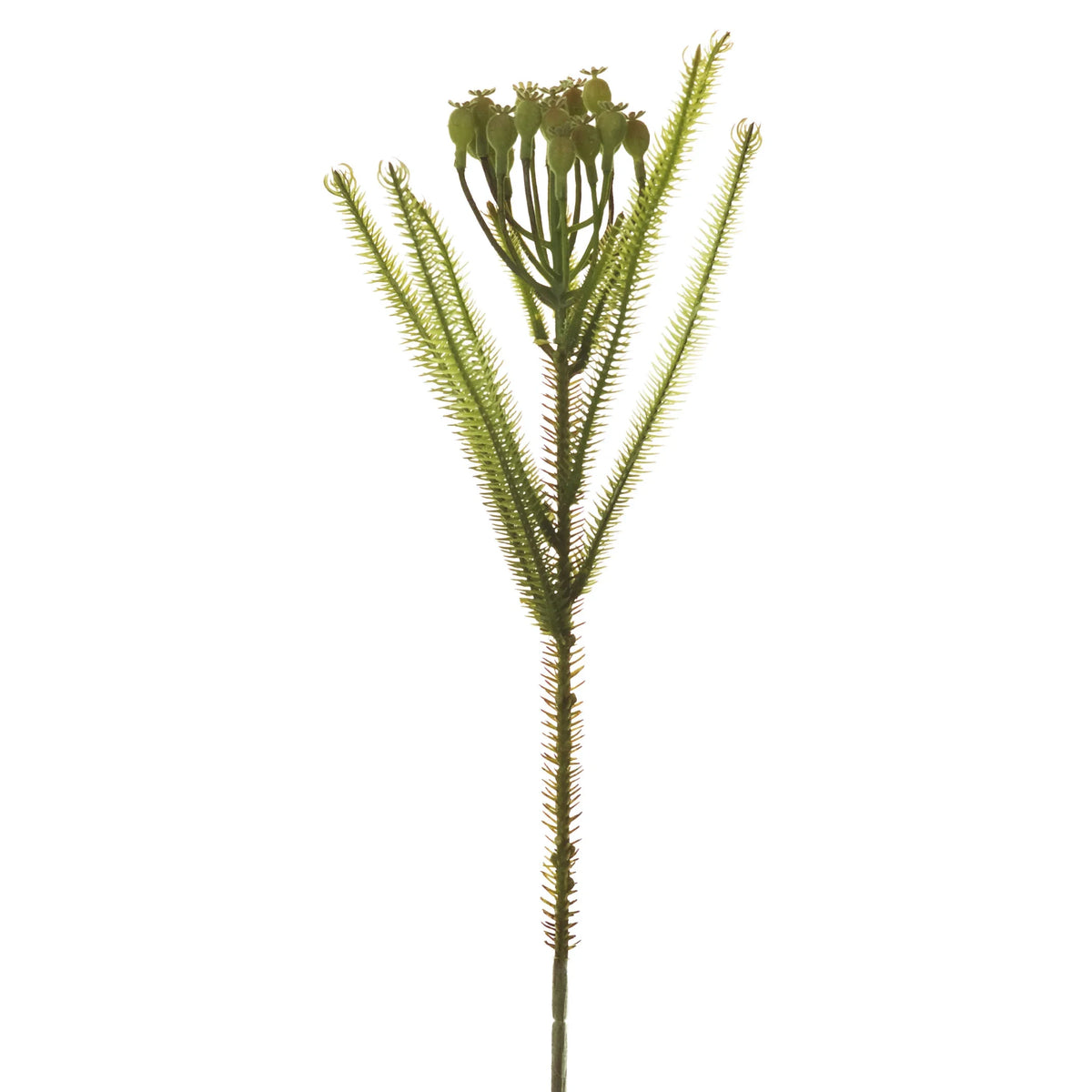 Brunia artificial de 58 cm, color verde