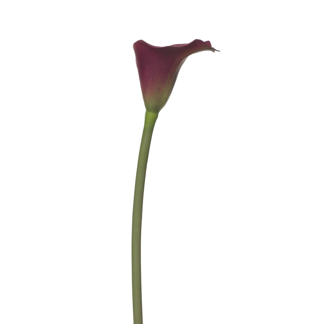 Cala artificial de 64 cm, color burdeos