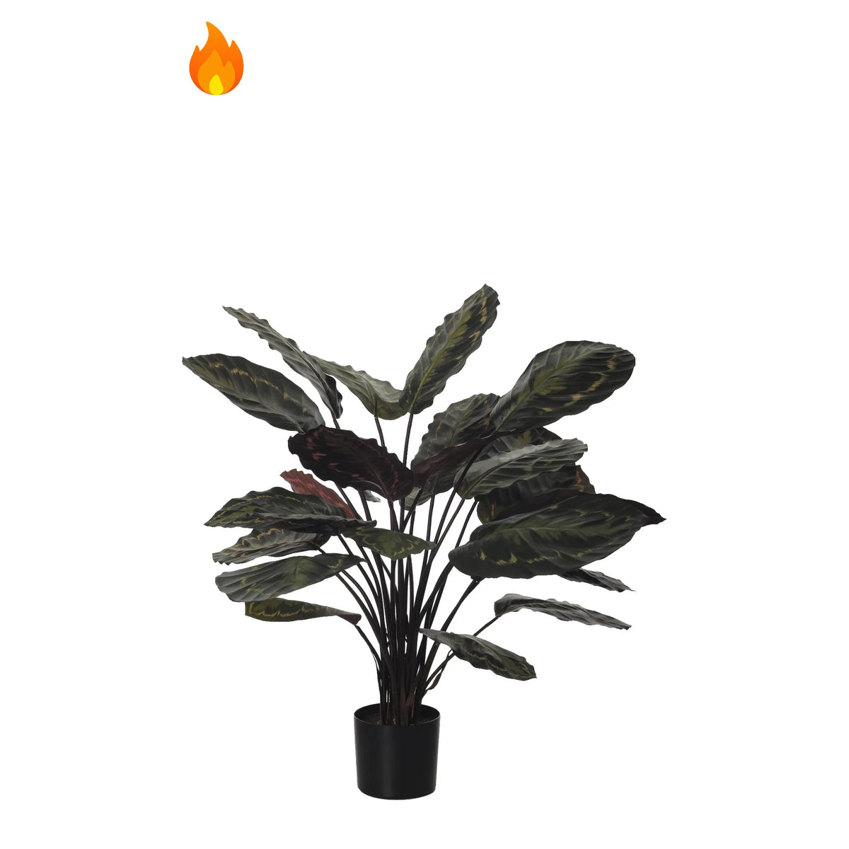 Calathea artificial Ignífuga de 62 cm, color verde