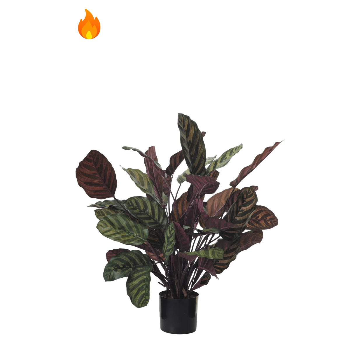 Calathea artificial Ignífuga de 84 cm, color verde y rojo