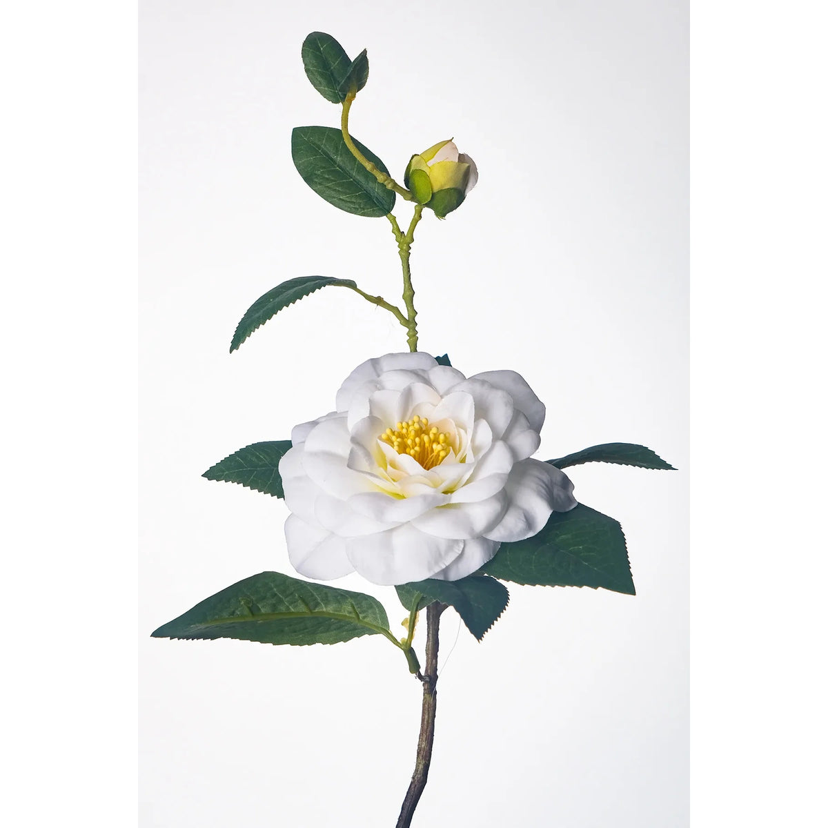 Camelia artificial de 58 cm, color blanco