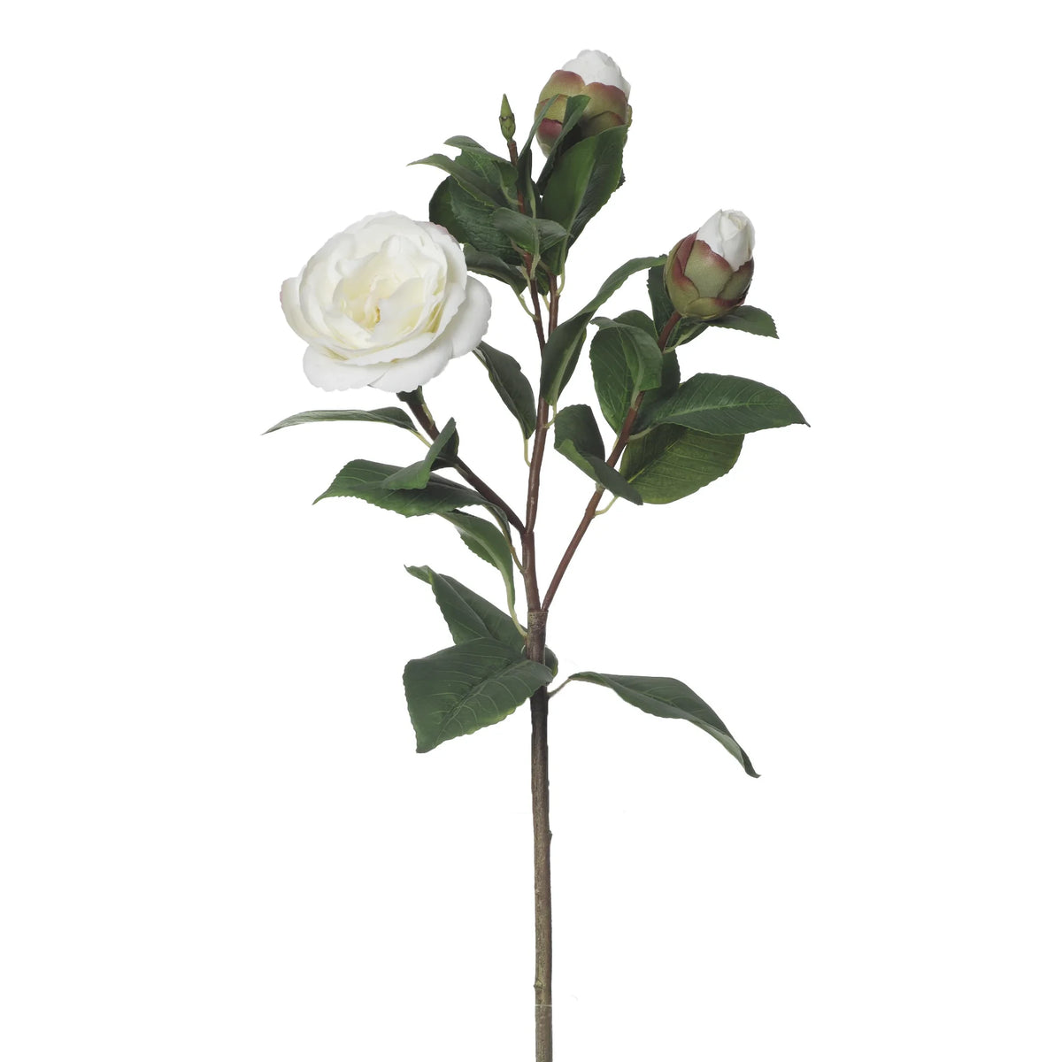Camelia artificial de 61 cm, color blanco