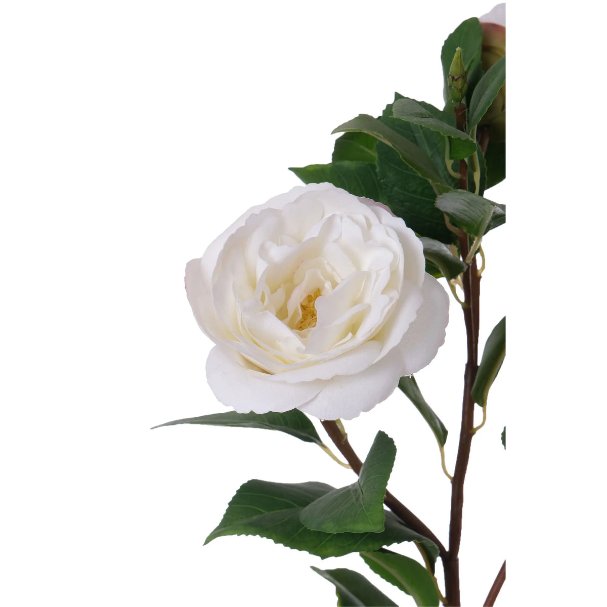 Camelia artificial de 61 cm, color blanco