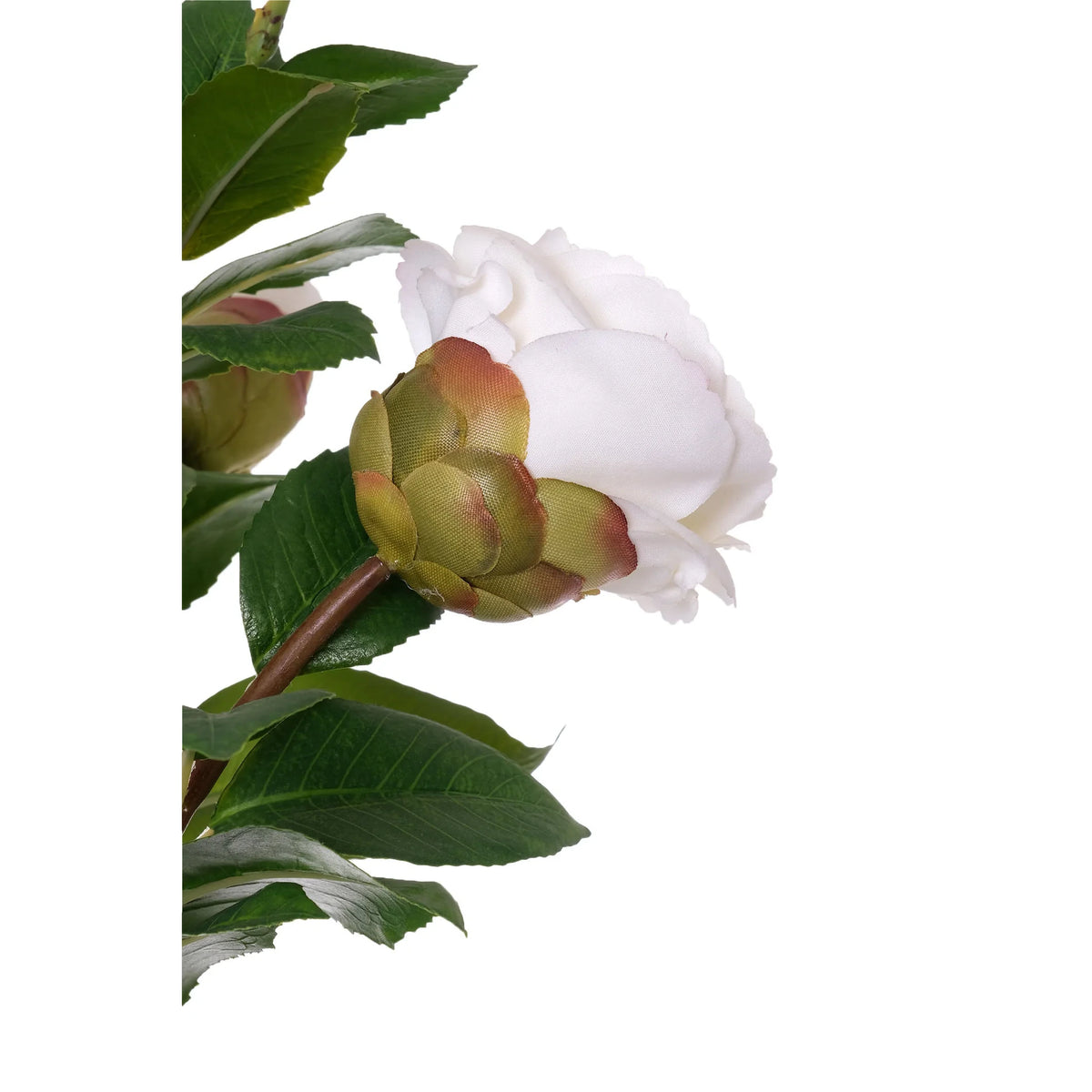 Camelia artificial de 61 cm, color blanco