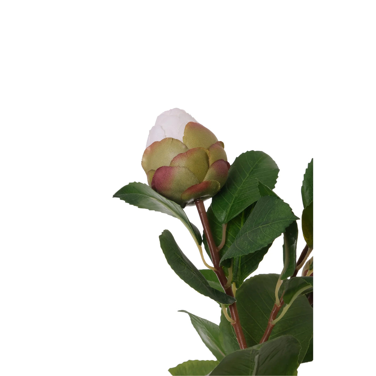 Camelia artificial de 61 cm, color blanco