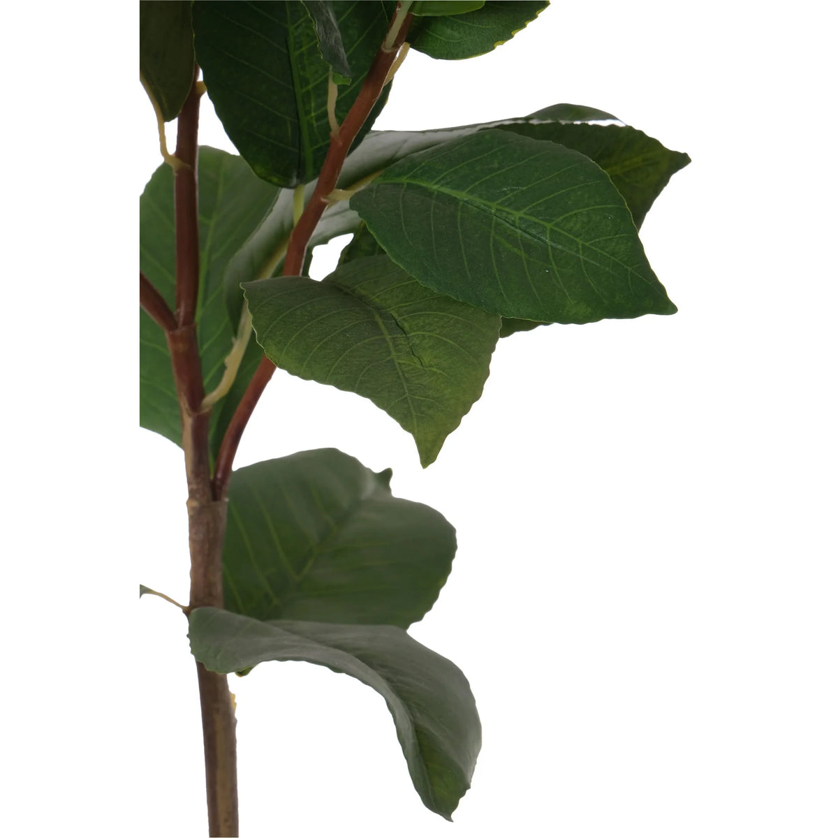 Camelia artificial de 61 cm, color rosa