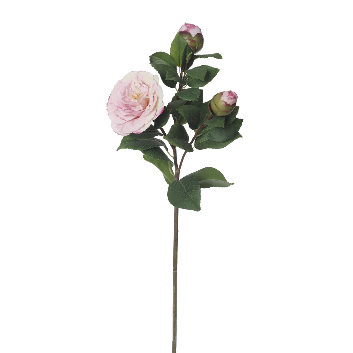 Camelia artificial de 61 cm, color rosa fuerte