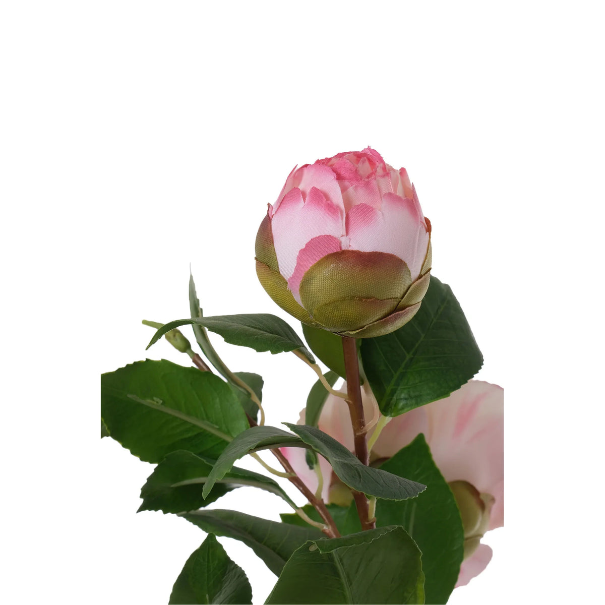 Camelia artificial de 61 cm, color rosa fuerte