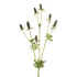 Cardo artificial de 66 cm, color púrpura