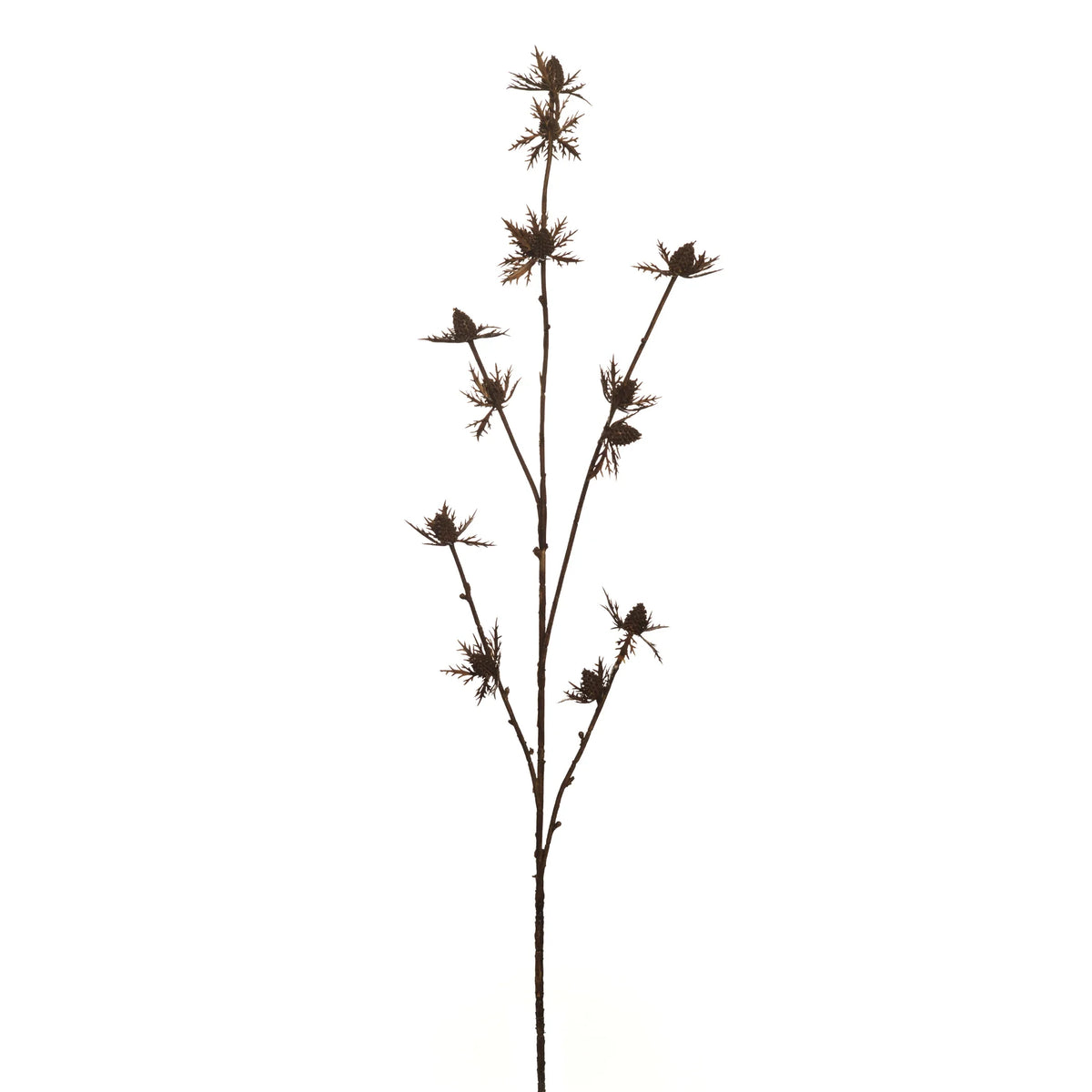 Cardo artificial de 80 cm, color marrón
