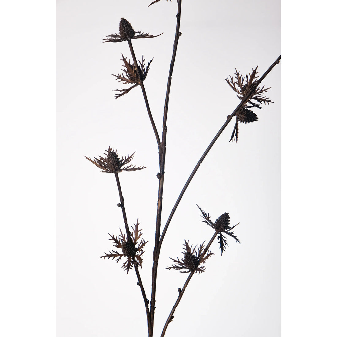 Cardo artificial de 80 cm, color marrón