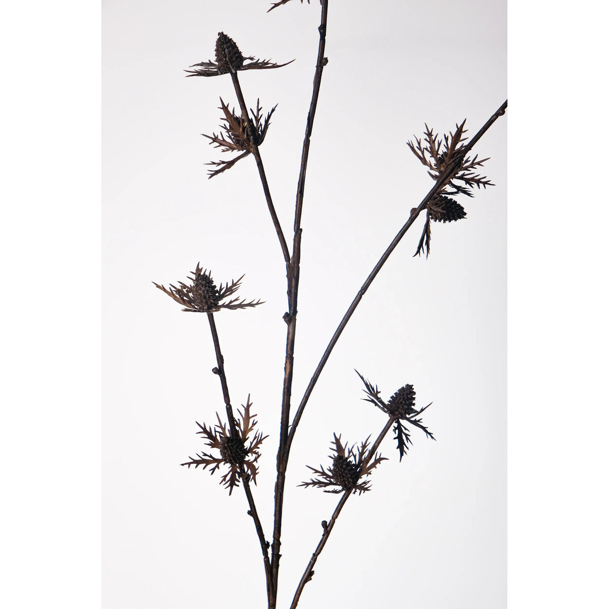 Cardo artificial de 80 cm, color marrón