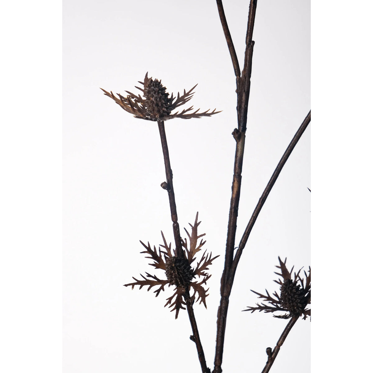 Cardo artificial de 80 cm, color marrón