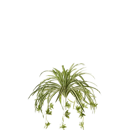 Cinta artificial Colgante de 69 cm, color bicolor