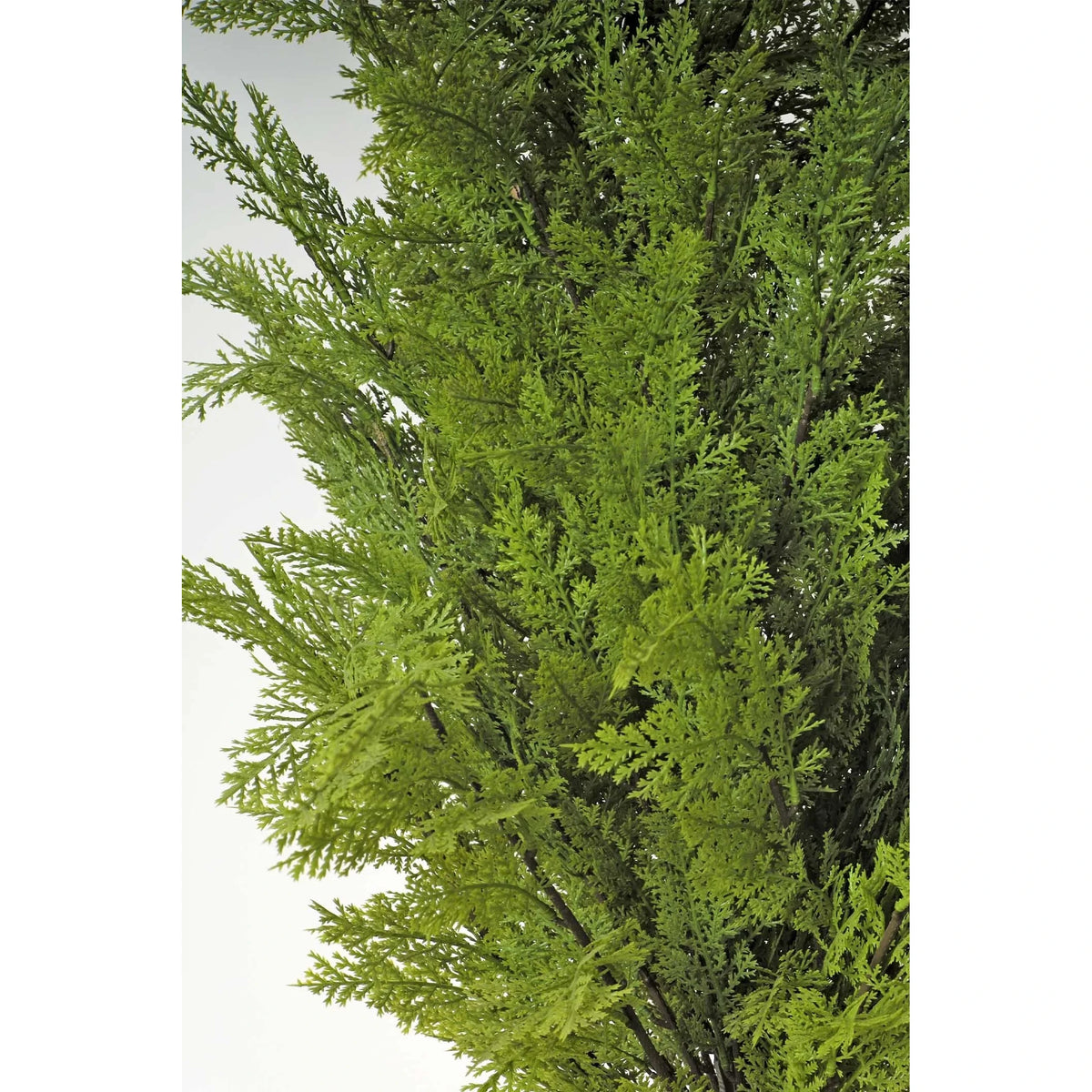 Ciprés Cedro artificial de 150 cm, color verde pálido