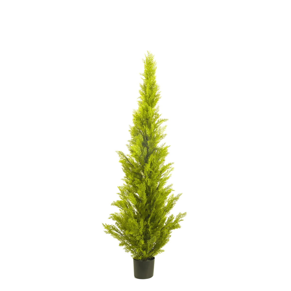 Ciprés Cedro artificial de 182 cm, color verde pálido