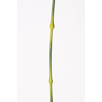 Clavel del Poeta artificial de 36 cm, color verde