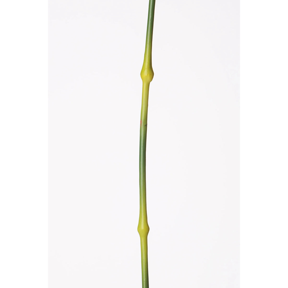 Clavel del Poeta artificial de 46 cm, color verde