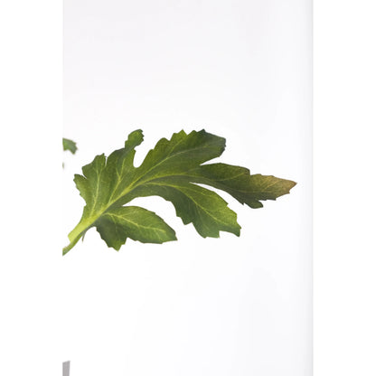 Cynara artificial Mini de 83 cm, color amarillo