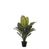 Dieffenbachia artificial de 87 cm, color verde