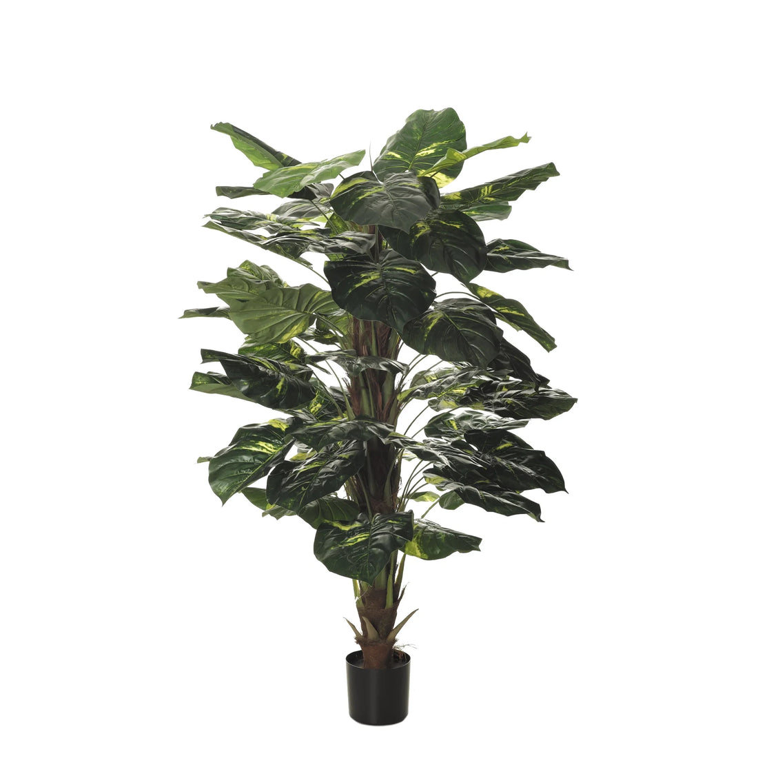 Dieffenbachia artificial de Hojas Grandes con Tutor de 180 cm, color verde
