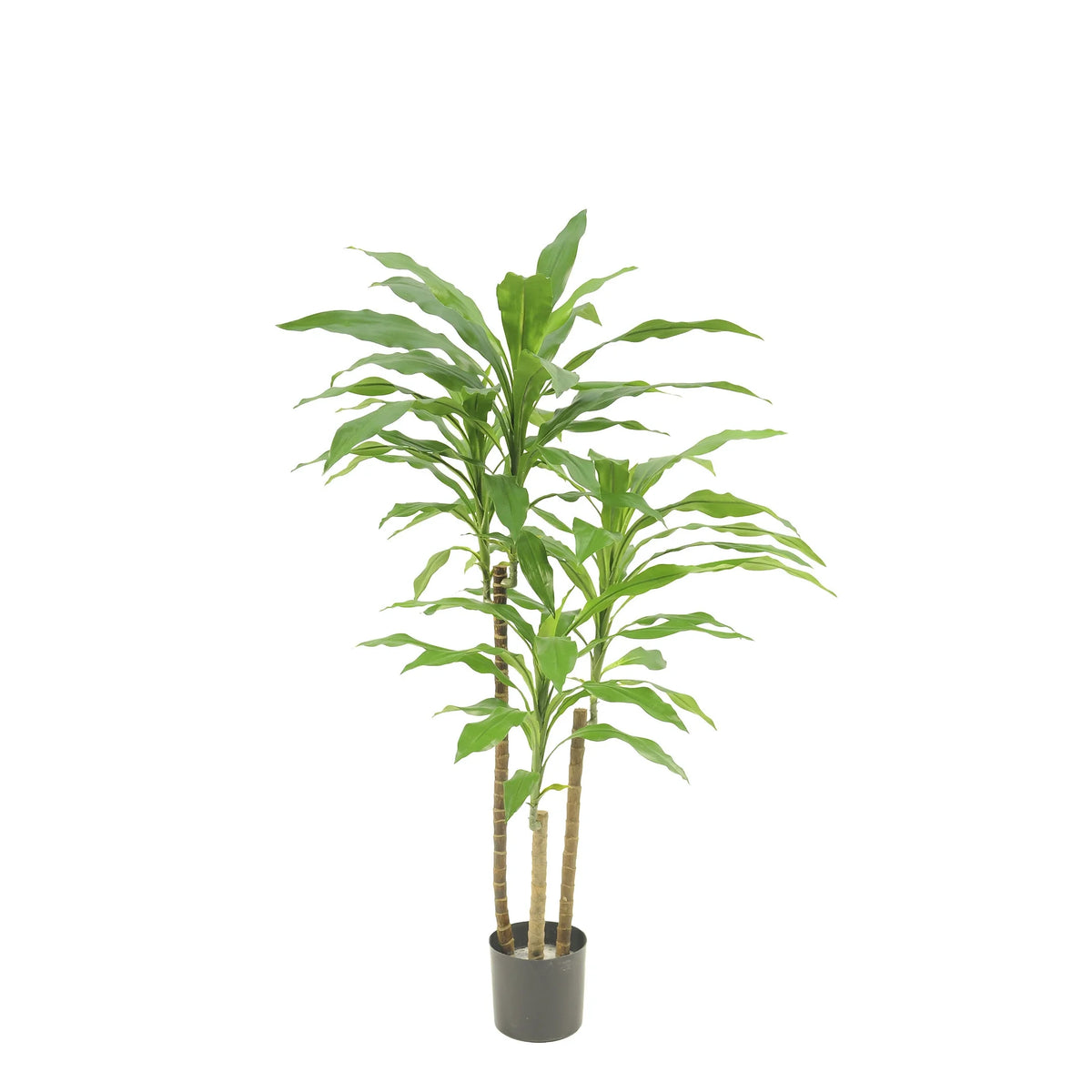 Drácena Fragrans artificial de 70 cm, color verde