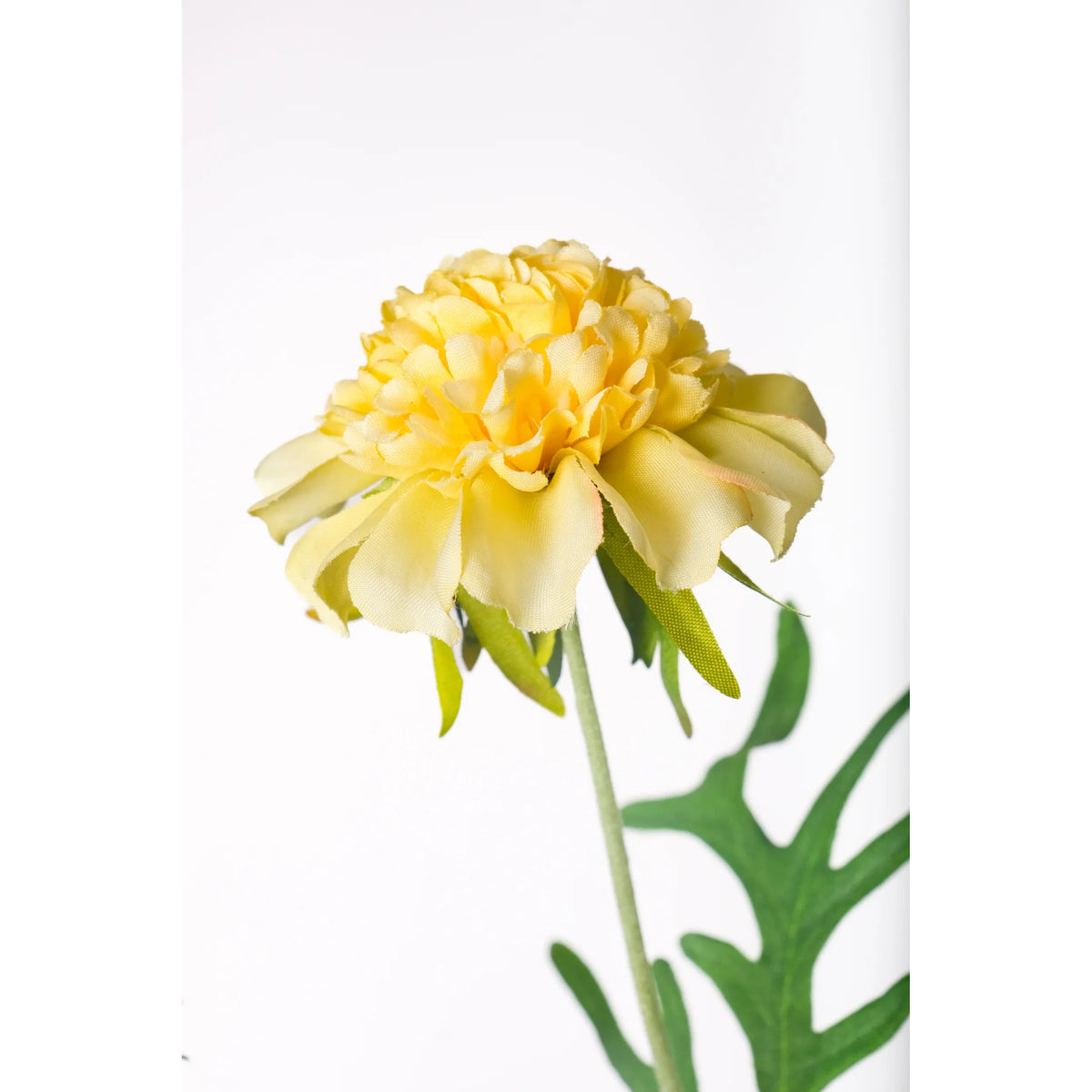 Escabiosa artificial de 50 cm, color amarillo
