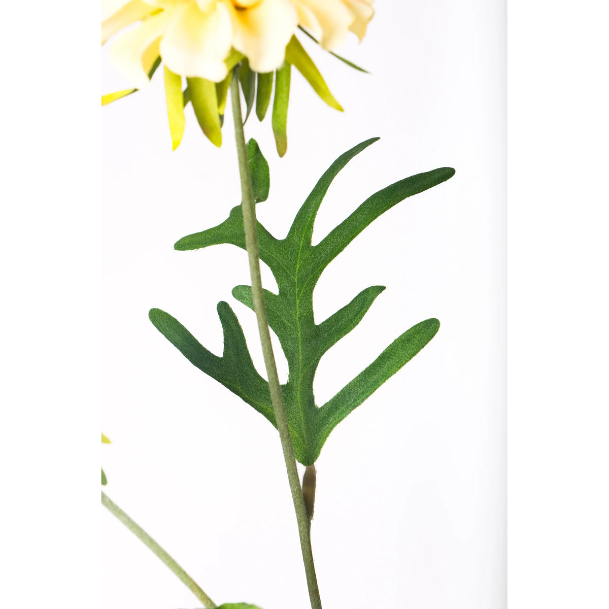 Escabiosa artificial de 50 cm, color amarillo