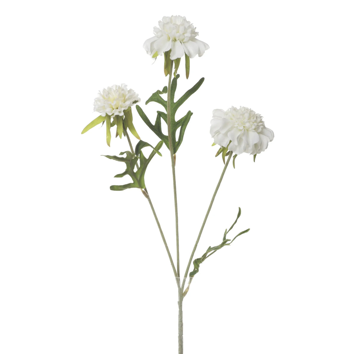 Escabiosa artificial de 50 cm, color blanco