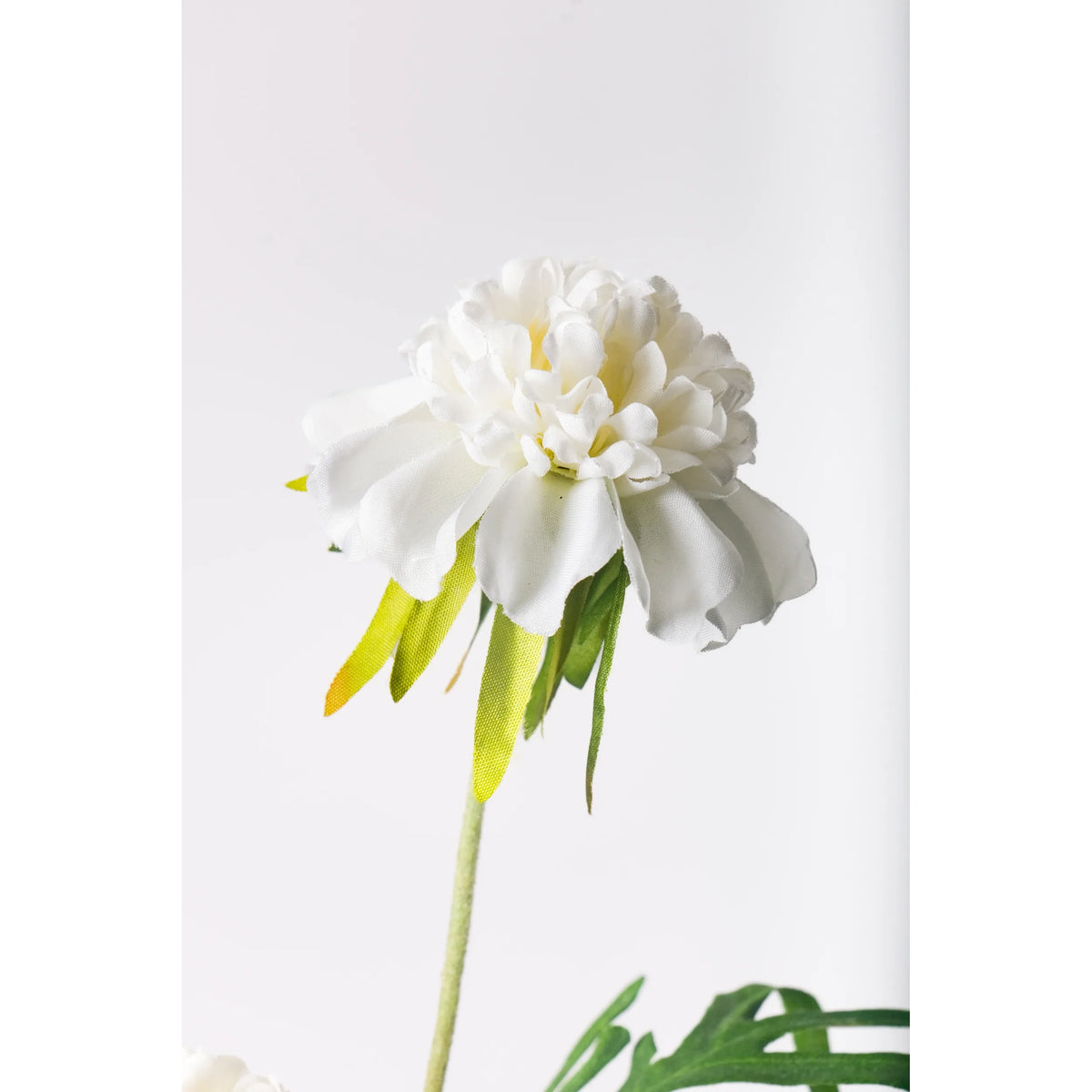 Escabiosa artificial de 50 cm, color blanco