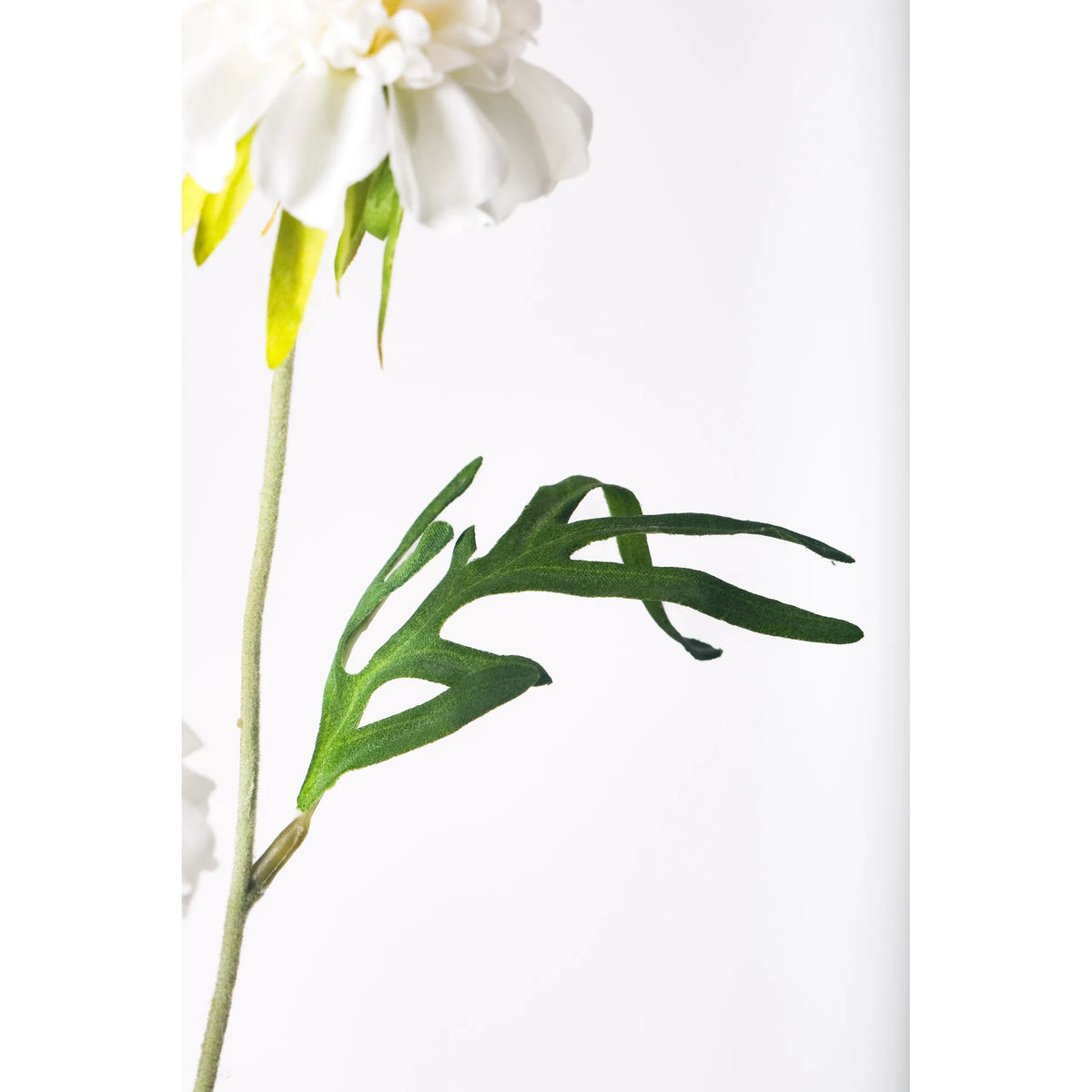 Escabiosa artificial de 50 cm, color blanco