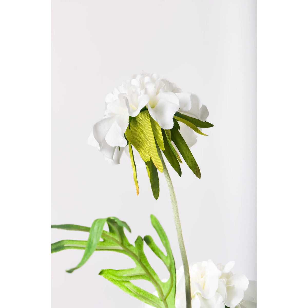 Escabiosa artificial de 50 cm, color blanco