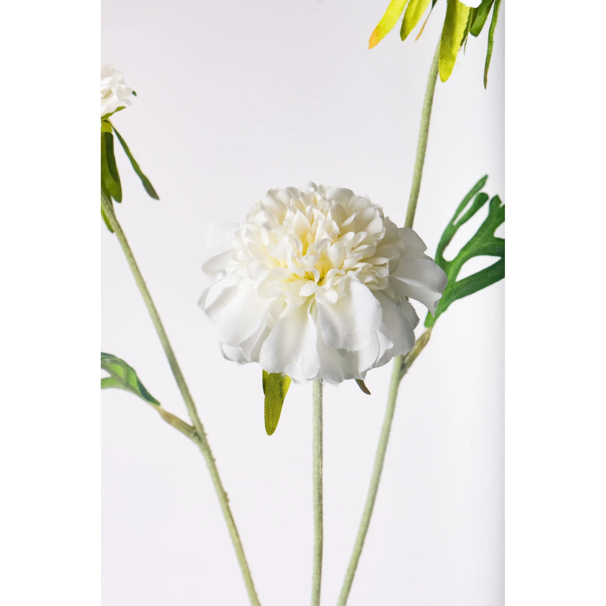 Escabiosa artificial de 50 cm, color blanco