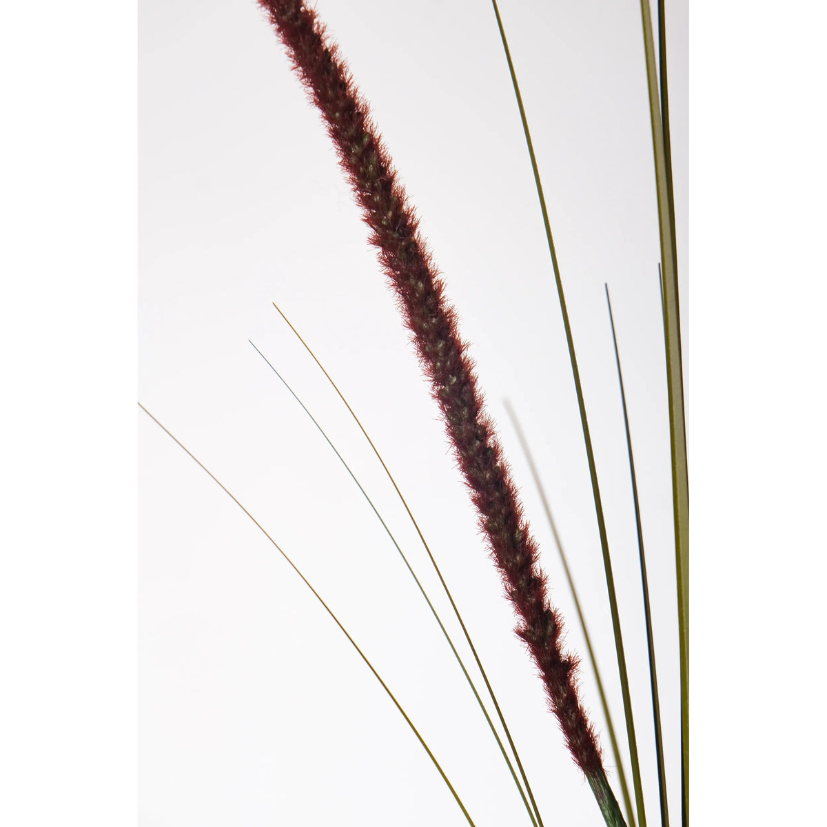 Espadaña artificial de 90 cm, color burdeos