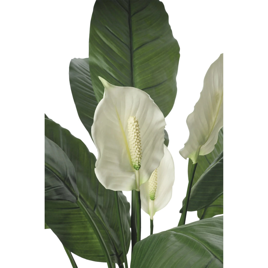 Espatifilo artificial con Hojas y Flores de 110 cm, color verde