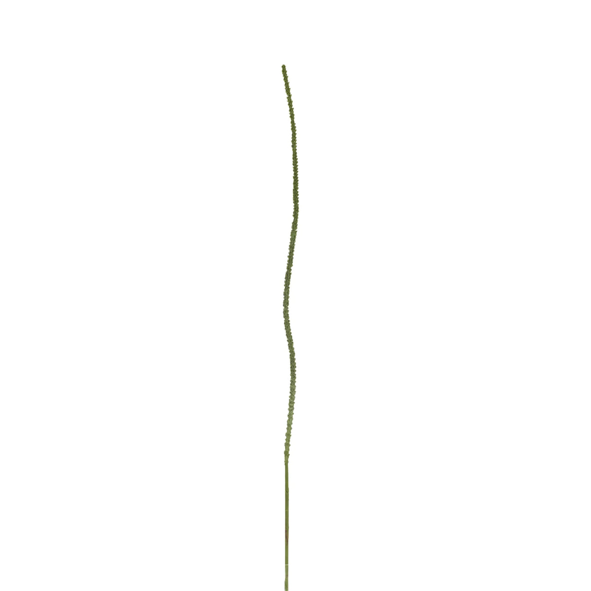 Espiga artificial Silvestre de 100 cm, color verde