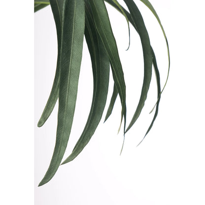 Eucalipto artificial Grande de 94 cm, color verde