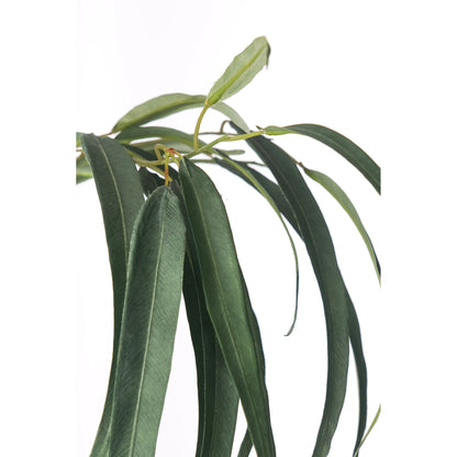 Eucalipto artificial Grande de 94 cm, color verde