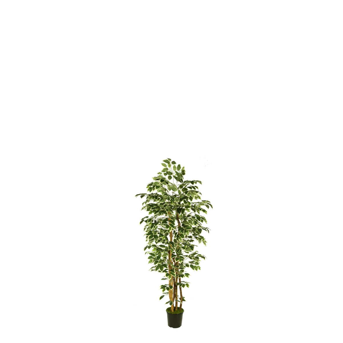 Ficus artificial de 120 cm, color bicolor