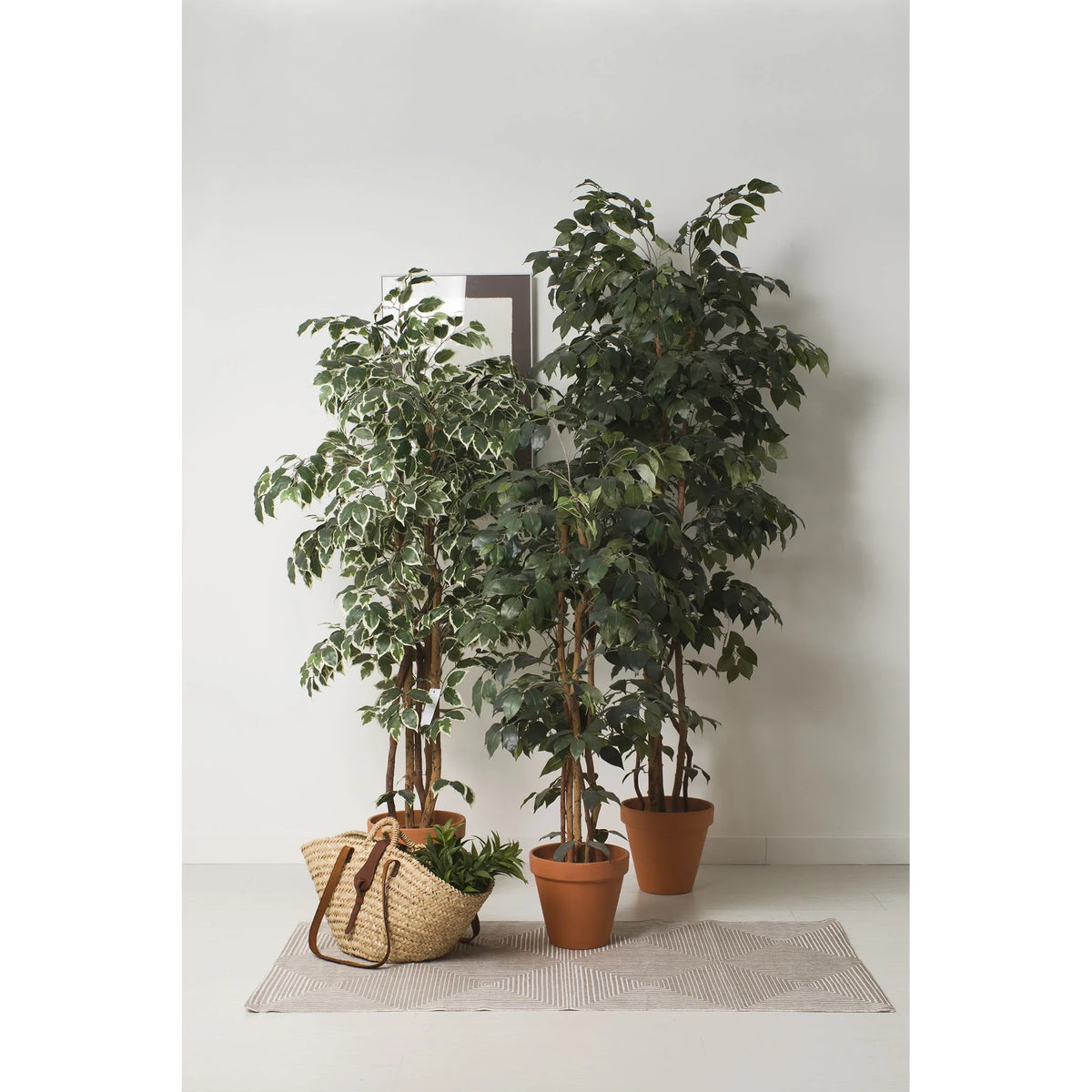 Montaje: ficus artificial de 120 cm, color bicolor; las otras piezas no se incluyen