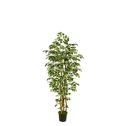 Ficus artificial de 150 cm, color bicolor