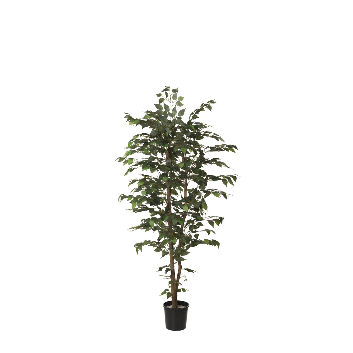 Ficus artificial de 150 cm, color verde