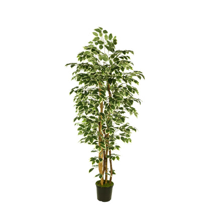 Ficus artificial de 180 cm, color bicolor