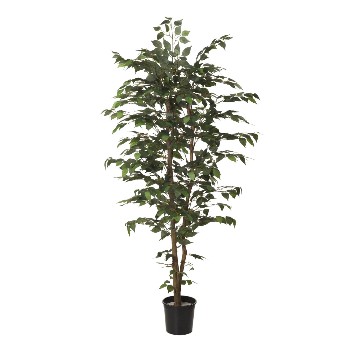 Ficus artificial de 210 cm, color verde