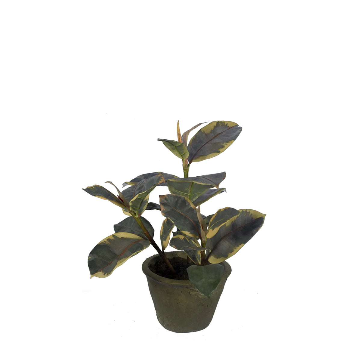 Ficus Elástica artificial de 50 cm, color marrón