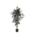 Ficus Exotica artificial de 150 cm, color verde