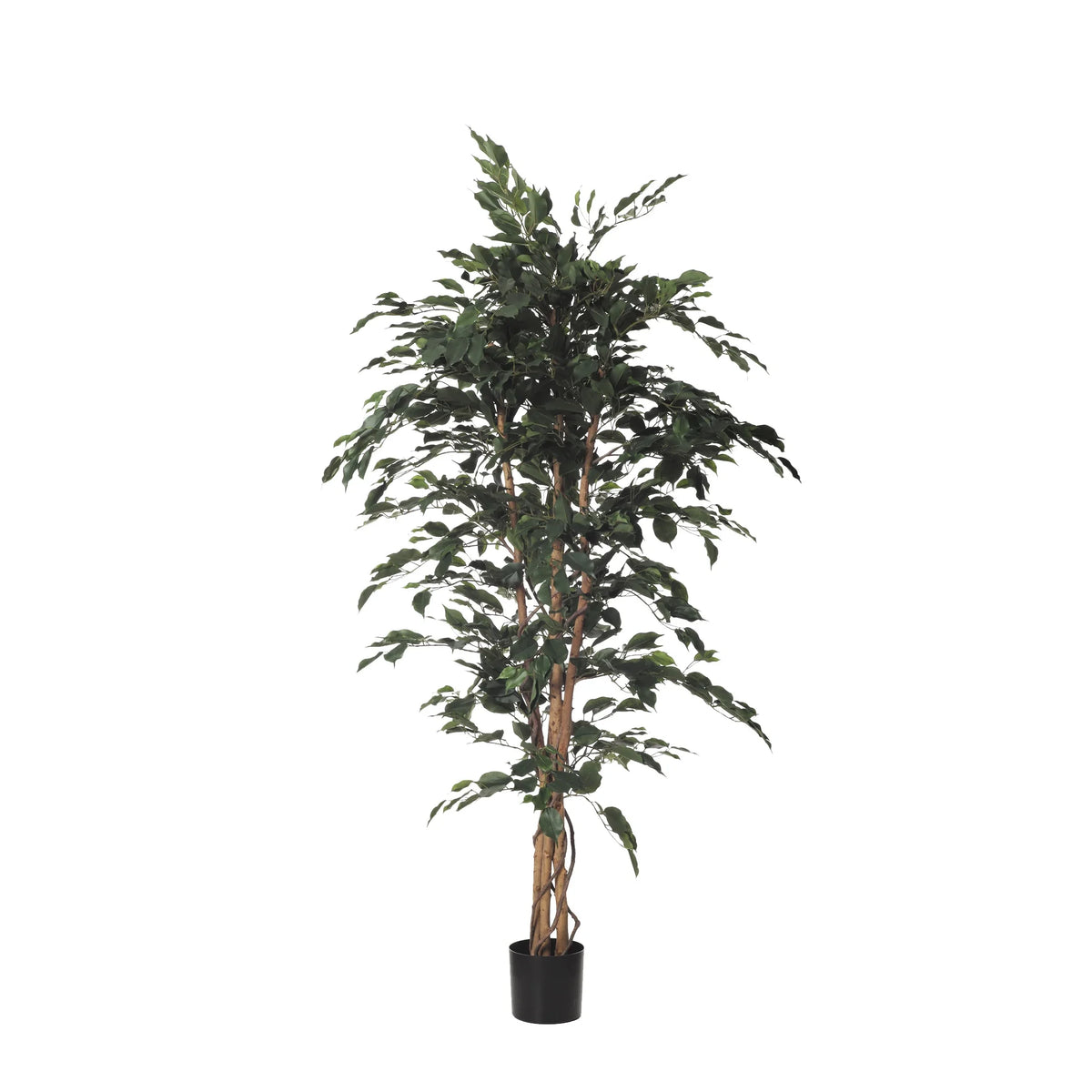 Ficus Exotica artificial de 180 cm, color verde