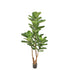 Ficus Lyrata artificial de 200 cm, color verde