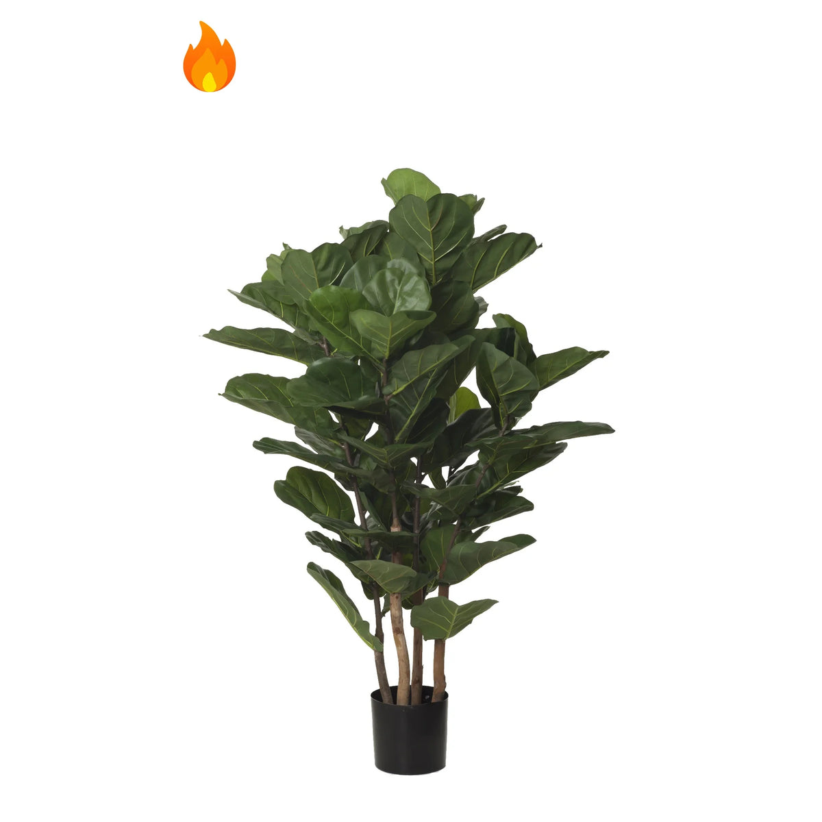 Ficus Lyrata artificial Ignífugo de 150 cm, color verde