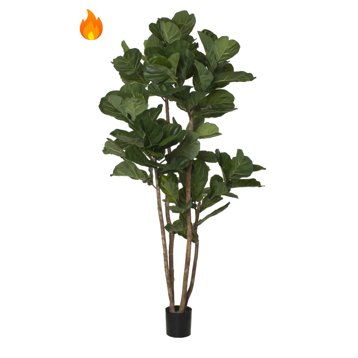 Ficus Lyrata artificial Ignífugo de 240 cm, color verde